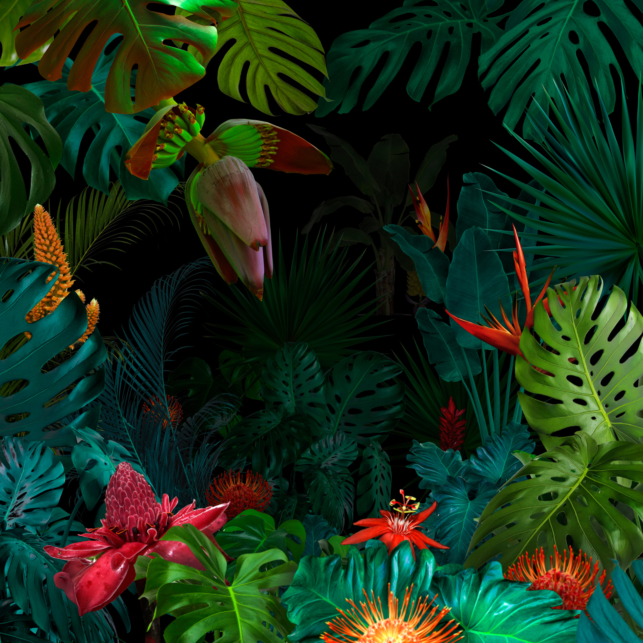 Colorful night jungle background